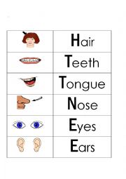 English Worksheet: Parts of My Face