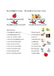 English Worksheet: present simple and Senses Our world book