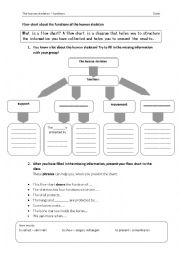 English Worksheet: Flow Chart of the functions of a human Skeleton