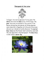 English Worksheet: The Legend of the Lotus