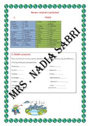 English Worksheet: pollution