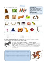 English Worksheet: Animals