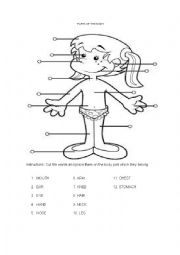 English Worksheet: body parts