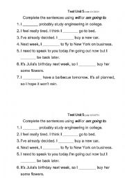 English Worksheet: Will and going to
