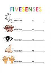 English Worksheet: FIVE SENSES