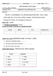 English Worksheet: describing animals 