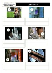 English Worksheet: CSI : Miami 