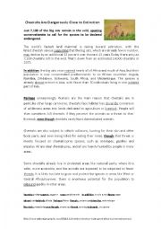 English Worksheet: Animals in danger: Cheetahs