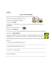 English Worksheet: Smelly animals and plants Our World book 3