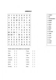 English Worksheet: Animals Letter soup