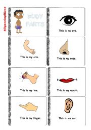 English Worksheet: body mini