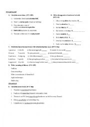 English Worksheet: Quiz