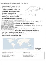 English Worksheet: PLATYPUS