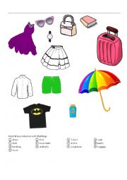 English Worksheet: things to take on a summer holiday