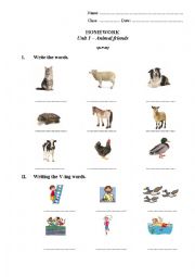 English Worksheet: Farm animals