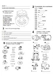 English Worksheet: Colours-Numbers-Face-Animals-Feelings-Basic Personal information