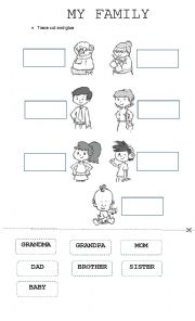 English Worksheet: My family