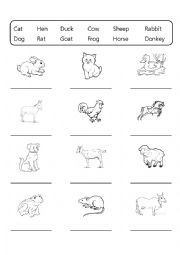 English Worksheet: Farm animals