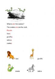 English Worksheet: Animals Plurals