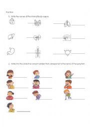 English Worksheet: Internal Organs and symptoms