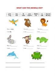 What can the animals do?