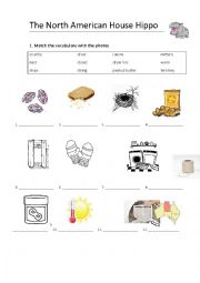 The North American House Hippo Worksheet