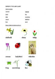 English Worksheet: Spring basic vocabulary