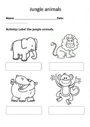 English Worksheet: jungle animals