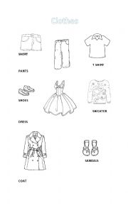 Clothes