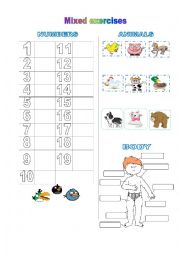 English Worksheet: Number, animal, body parts exercises