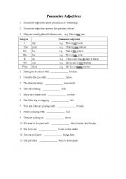 English Worksheet: Possessive adjectives