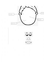 English Worksheet: Parts of the face