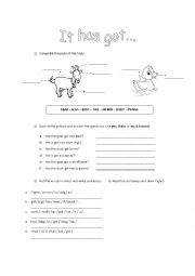 English Worksheet: Animals - Parts of the body