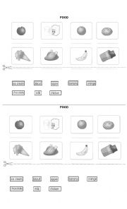 Food Worksheet