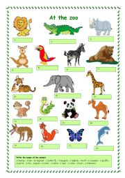 English Worksheet: At the zoo