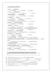 English Worksheet: Superlative and Future Will