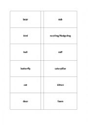 English Worksheet: baby animals