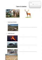causes of extinction