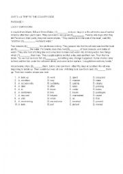 English Worksheet: READING 