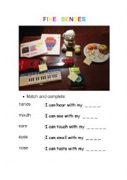 English Worksheet: Five senses