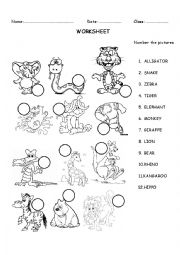 English Worksheet: animals