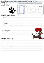 English Worksheet: Interview about your pets secret life