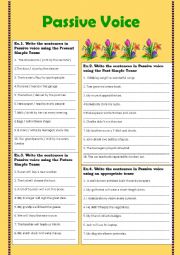 English Worksheet: Passive Voice exercises