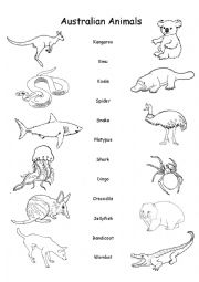 Australian Animals