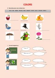 English Worksheet: Colors