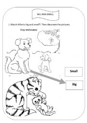 English Worksheet: ACTIVITY