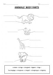 English Worksheet: Animals- Parts of the body