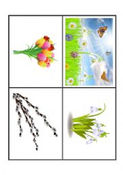 English Worksheet: Spring flashcards