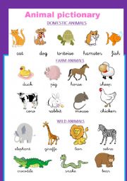 English Worksheet: Animal pictionary