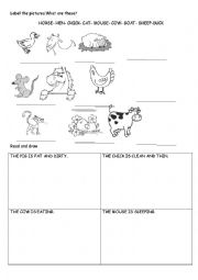 English Worksheet: Farm animals